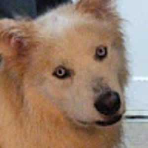 Meet your Posher, Conor